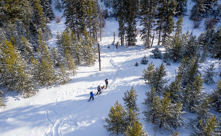 A group of snowshoers walking along the snowy trail at McConnell Lake Provincial Park near Kamloops, BC.