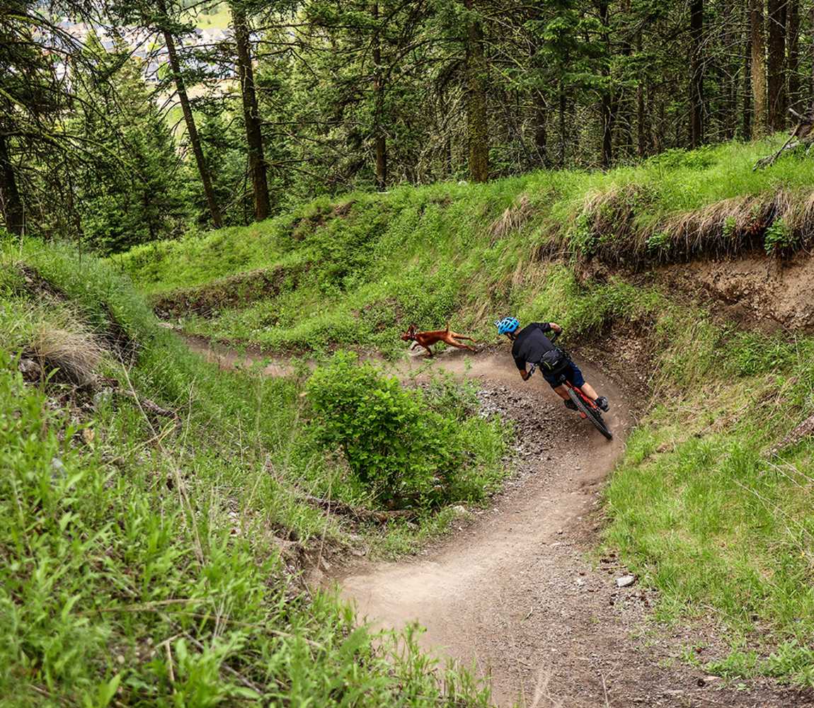 Solo person and their dog mountain biking in Pineview Valley Kamloops, BC