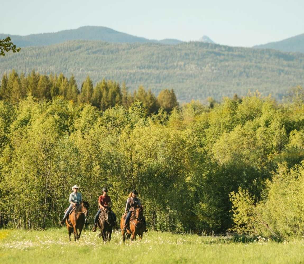 Horseback Riding in Wells Gray Provincial Park