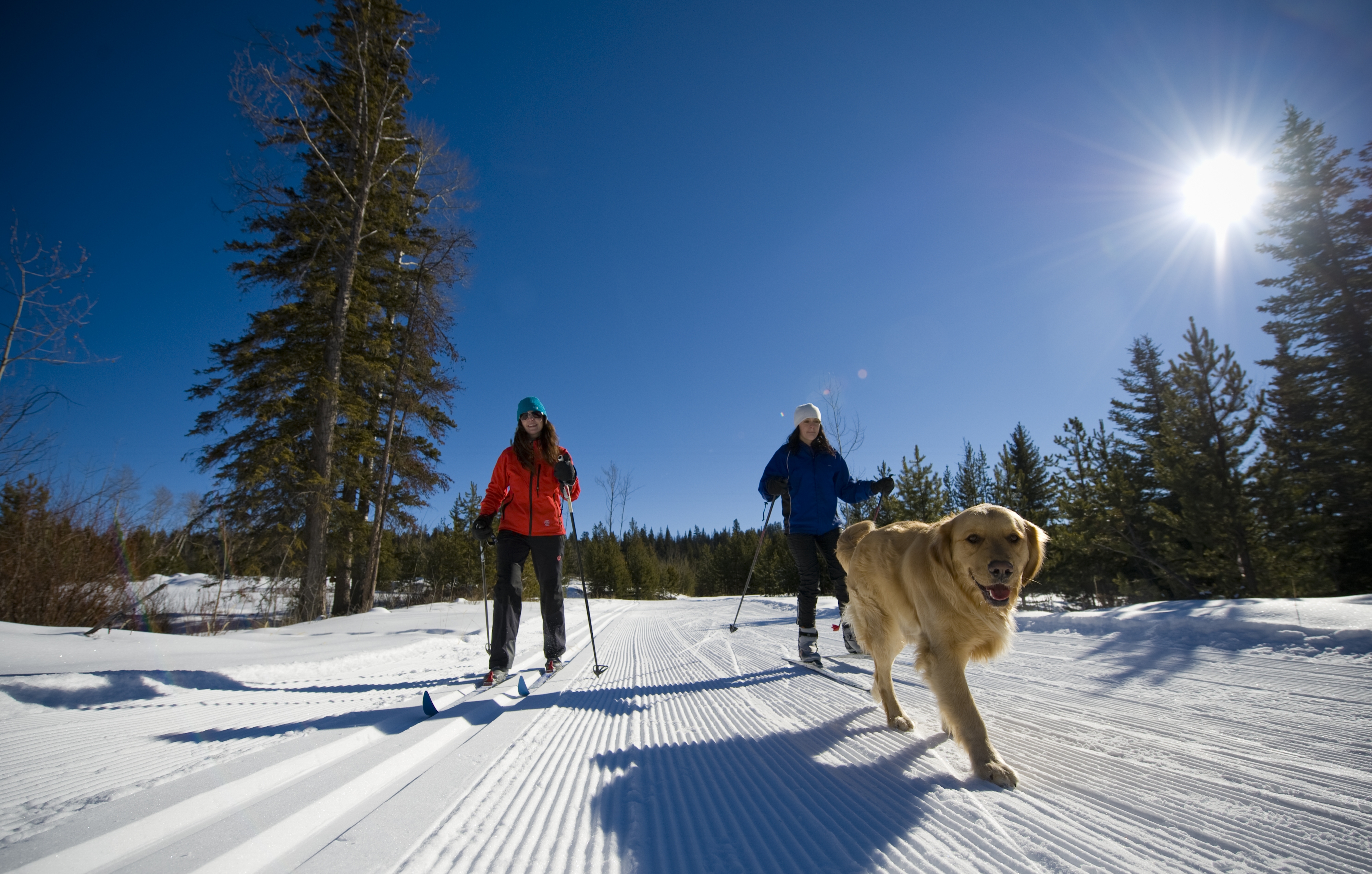 cross-country skiing