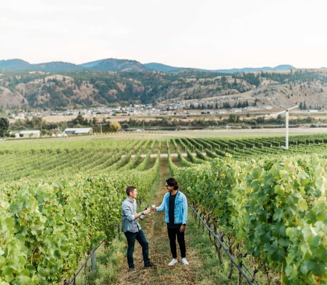 Two individuals walking through the vineyard and cheersing at Harper's Trail Winery