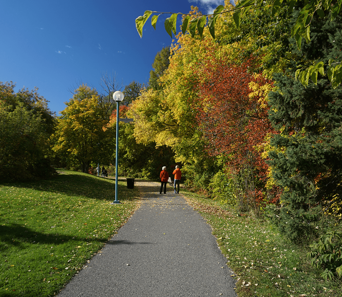 Fall Hike at Riverside Park