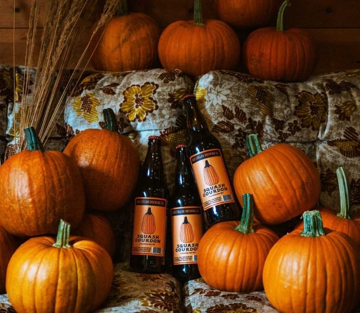 bottles of beer surrounded by pumpkins