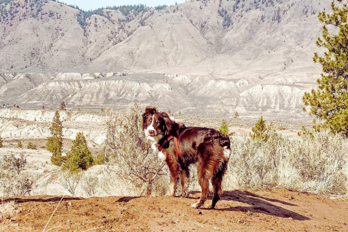 Valleyview Nature Park