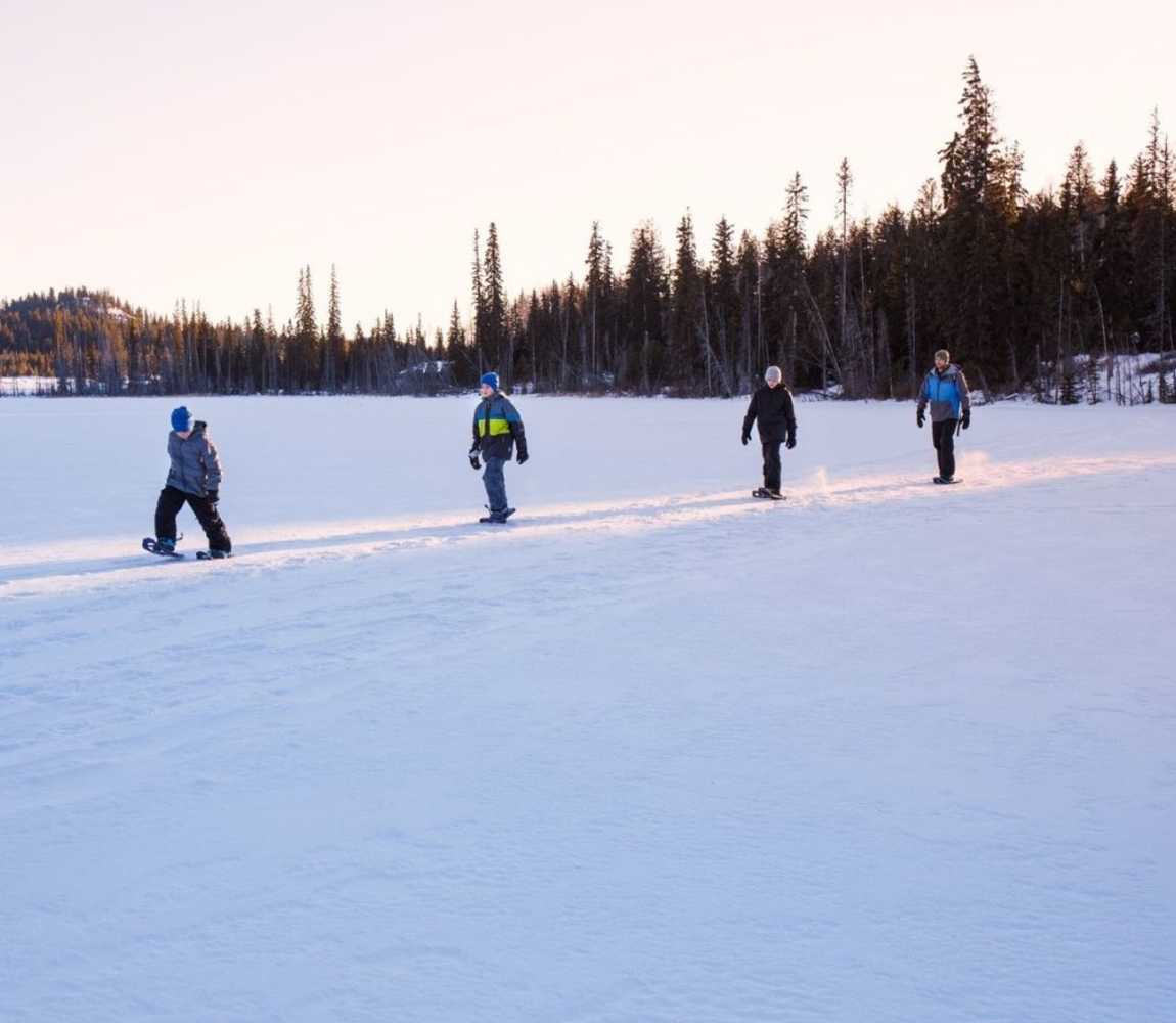 4 individuals in a family snowshoeing in the snowy hills