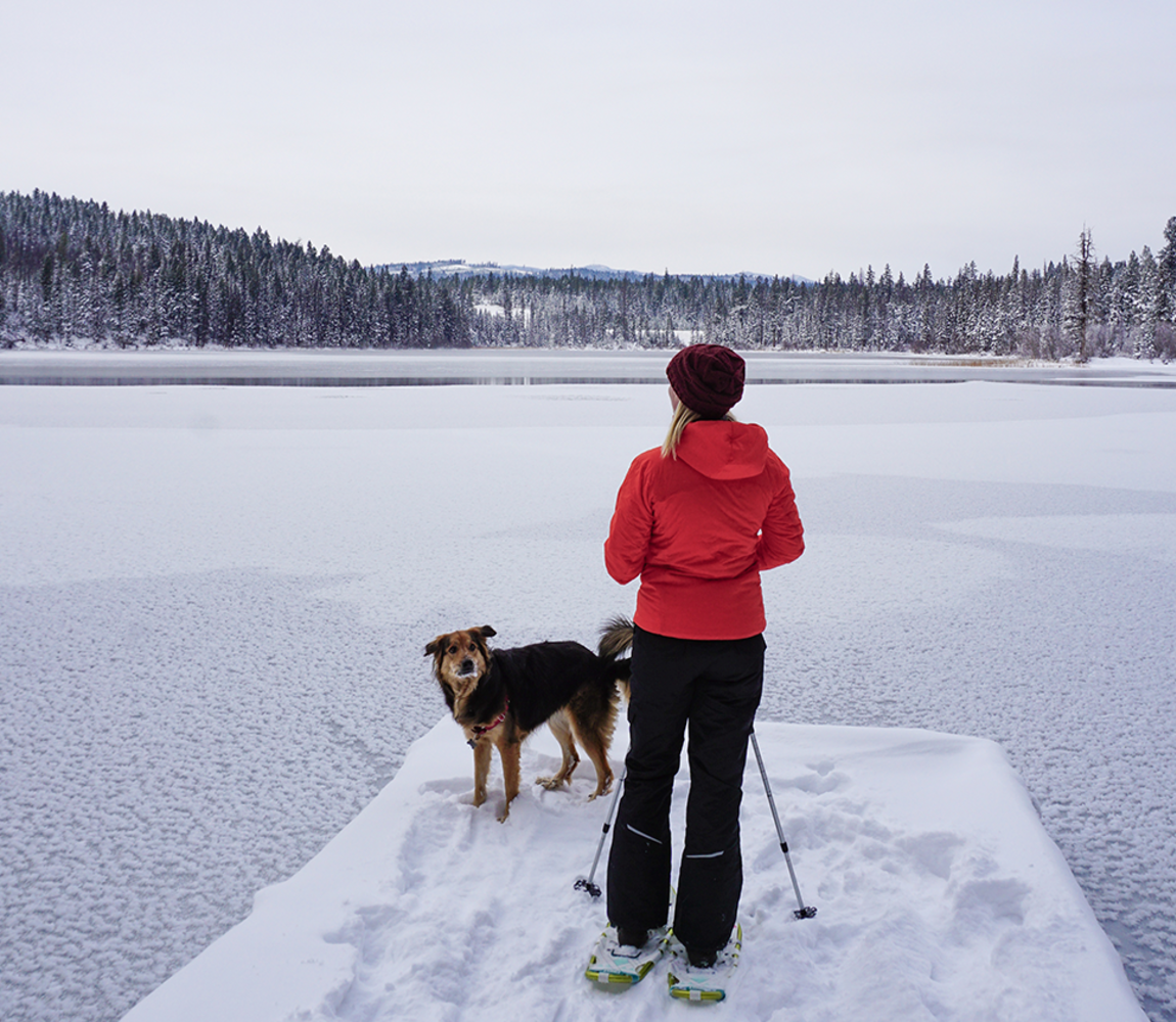 McConnell Lake Snowshoe image