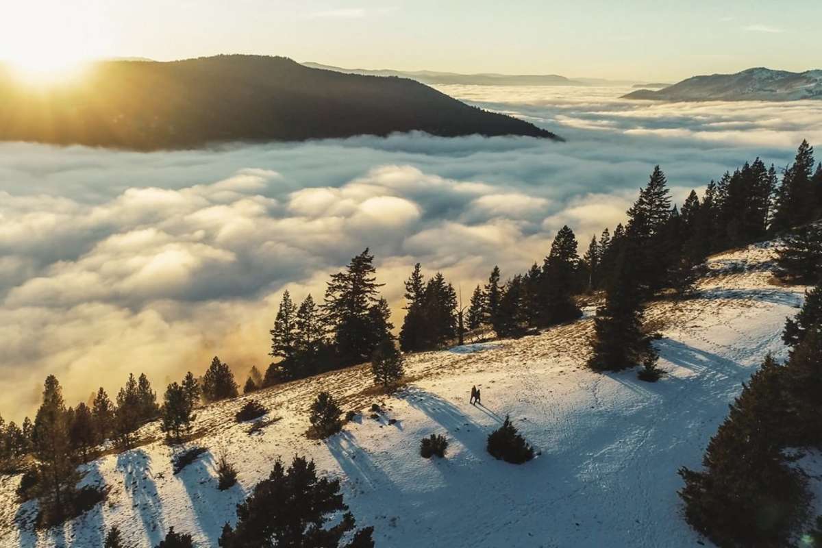 Snowshoeing at Harper Mountain