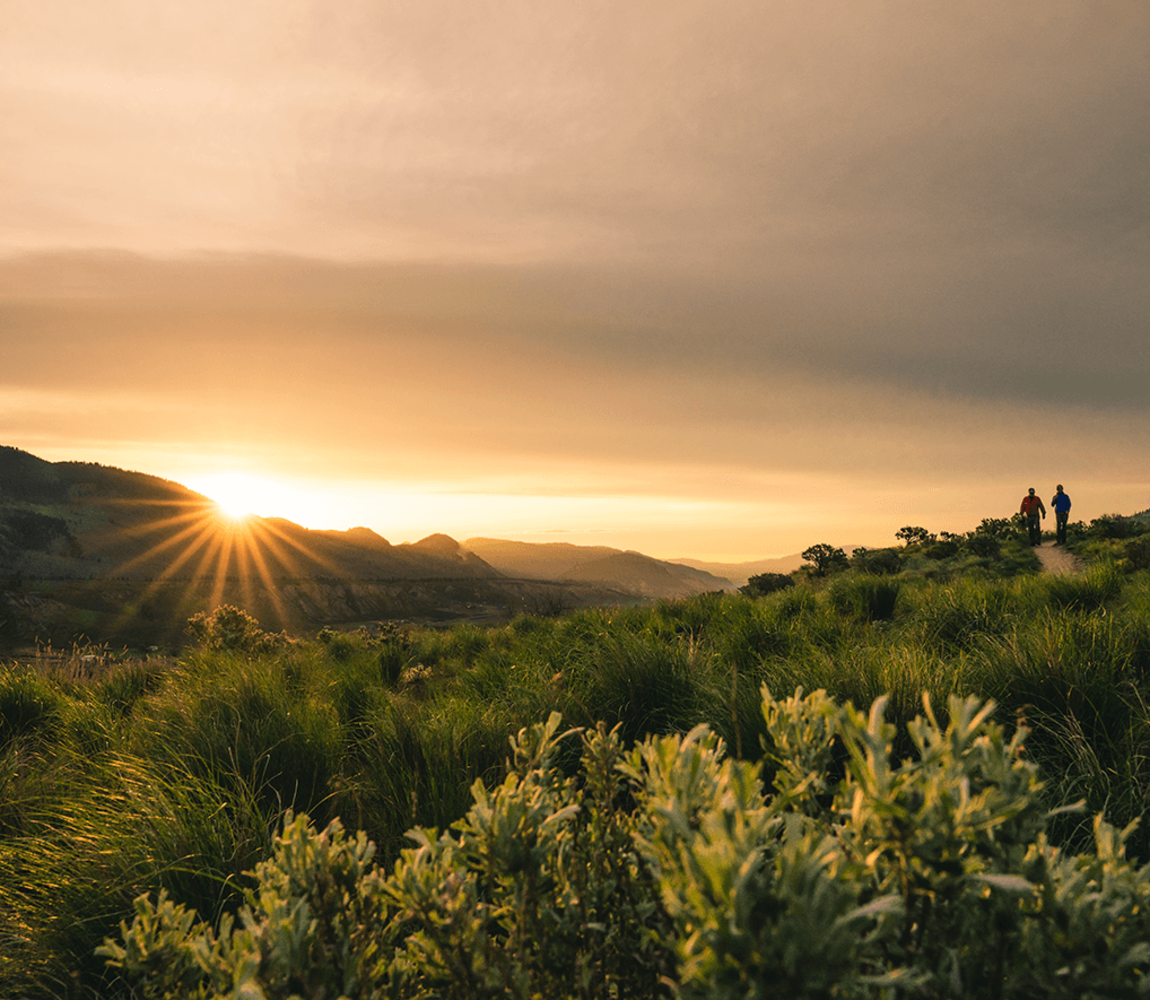 Hiking in Valleyview Nature Park