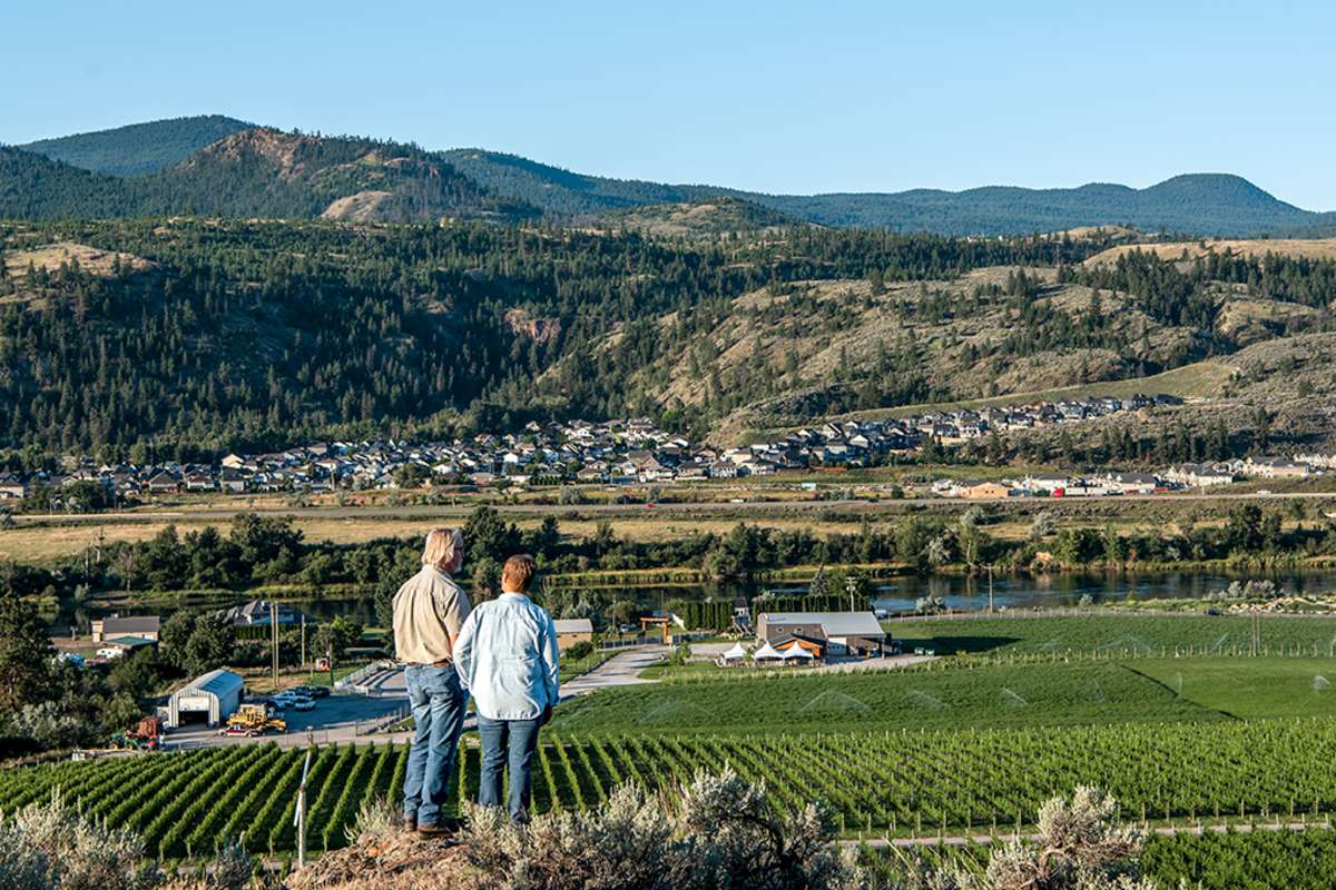 Aerial view of the vineyards at Harper's Trail Winery