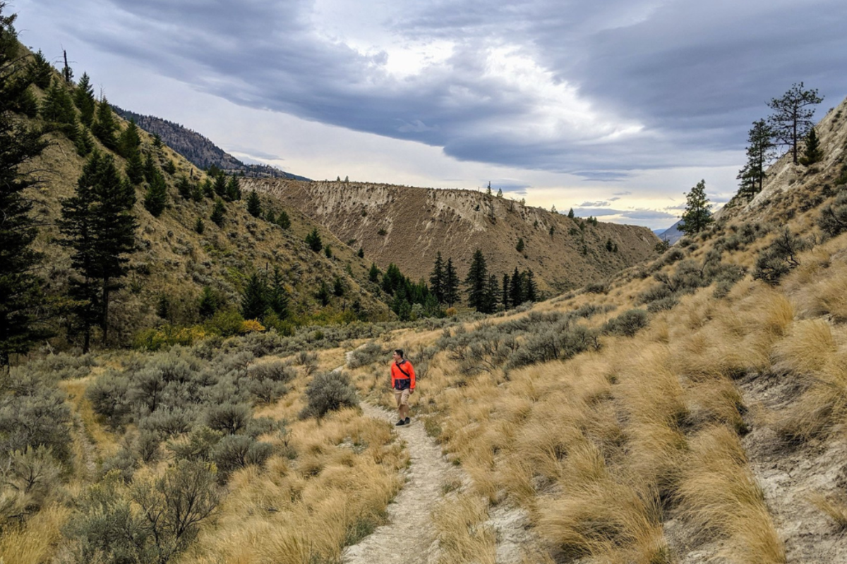 Man walking along the hiking trails in Dallas-Barnhartvale Nature Park in Kamloops, BC.