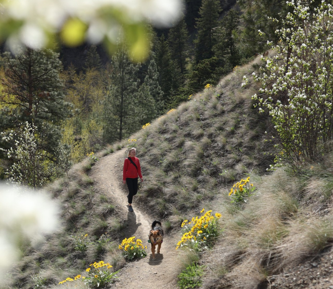 A woman hiking with her dog in the spring sunshine in Kamloops, British Columbia.