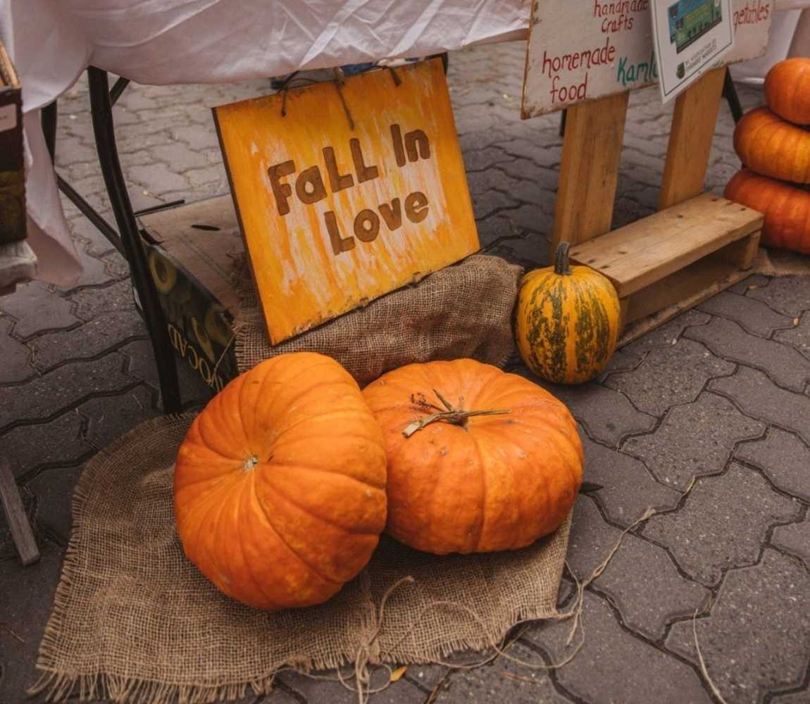 Kamloops Farmers Market fall