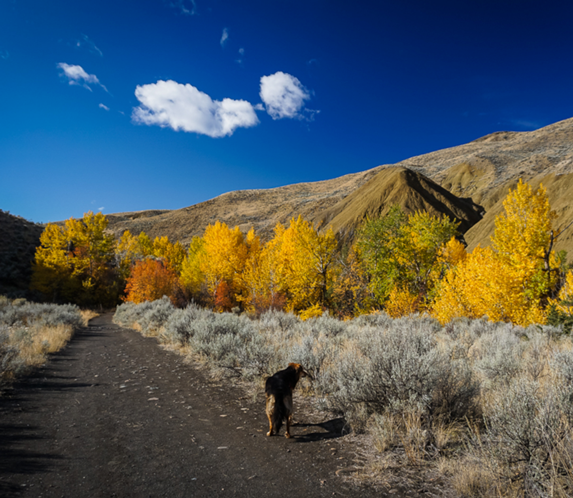 Fall Hiking at Tranquille River