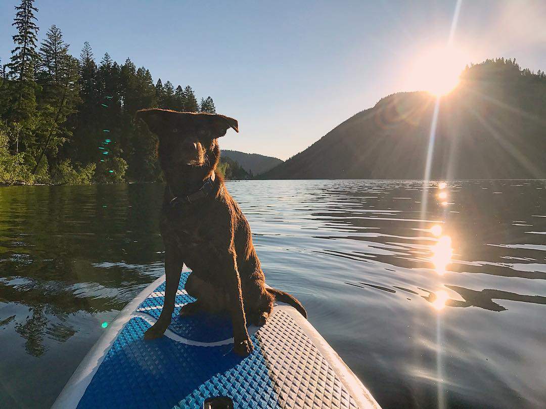 Stand Up Paddleboard