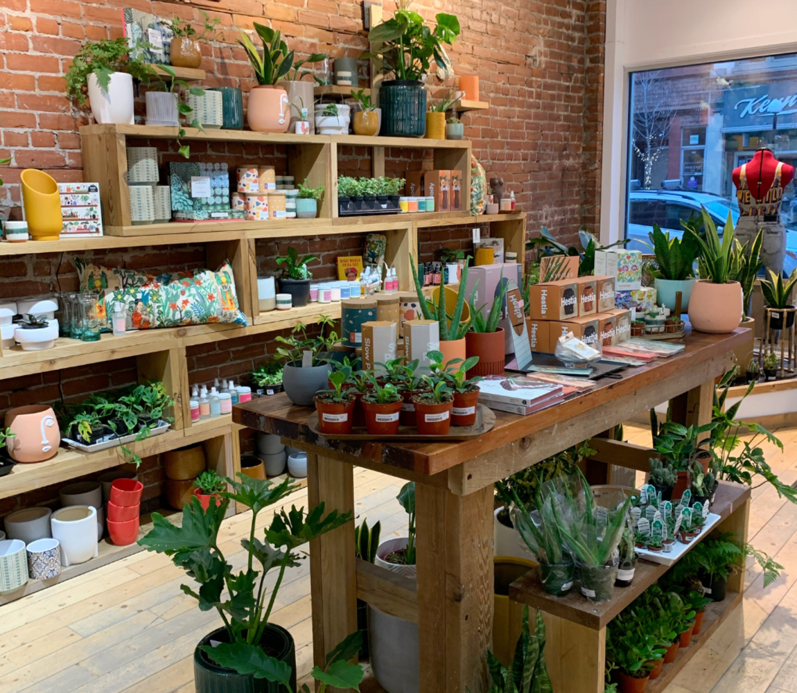 Display of plants and plant pots at Botanical Scene in downtown Kamloops