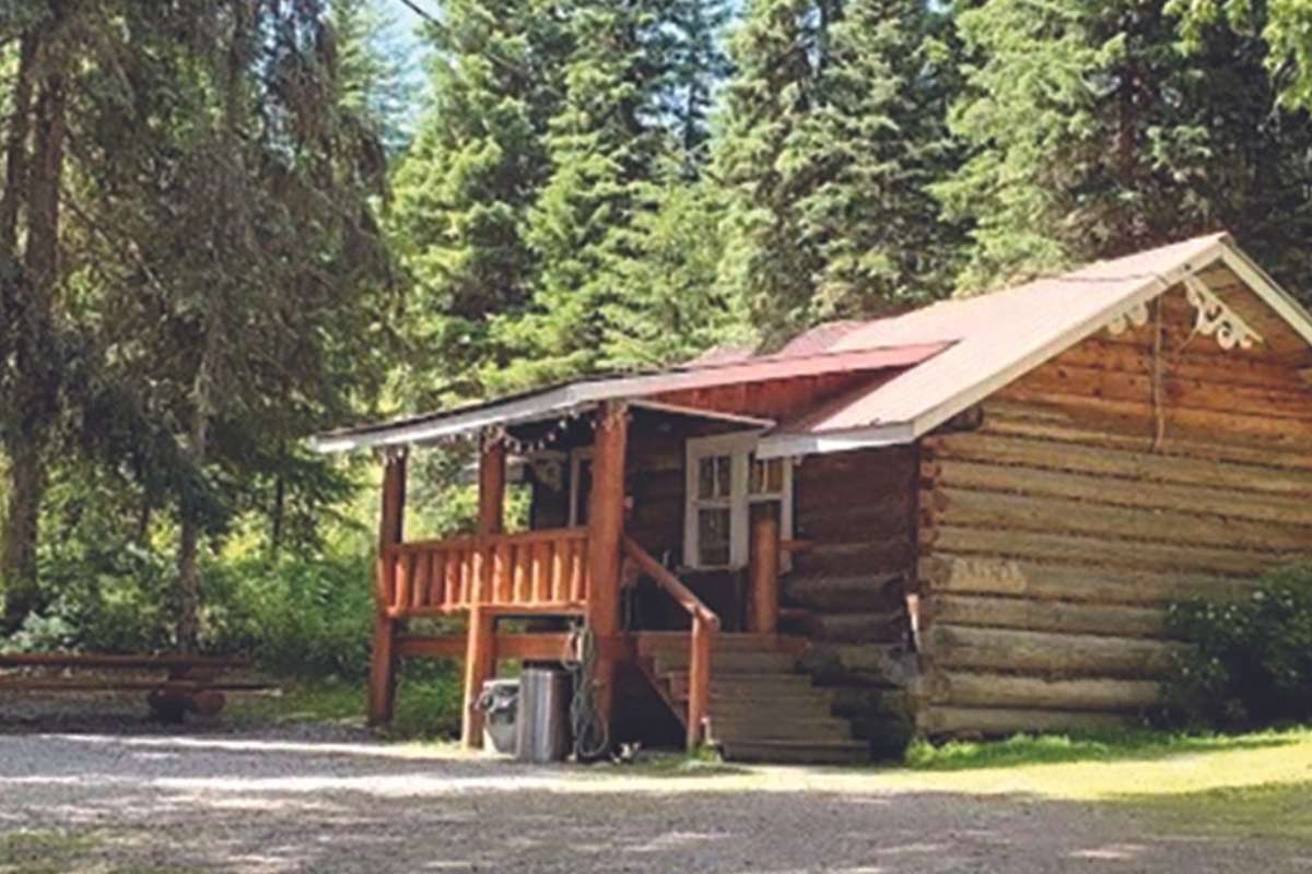 rustic cabin amongst a forest