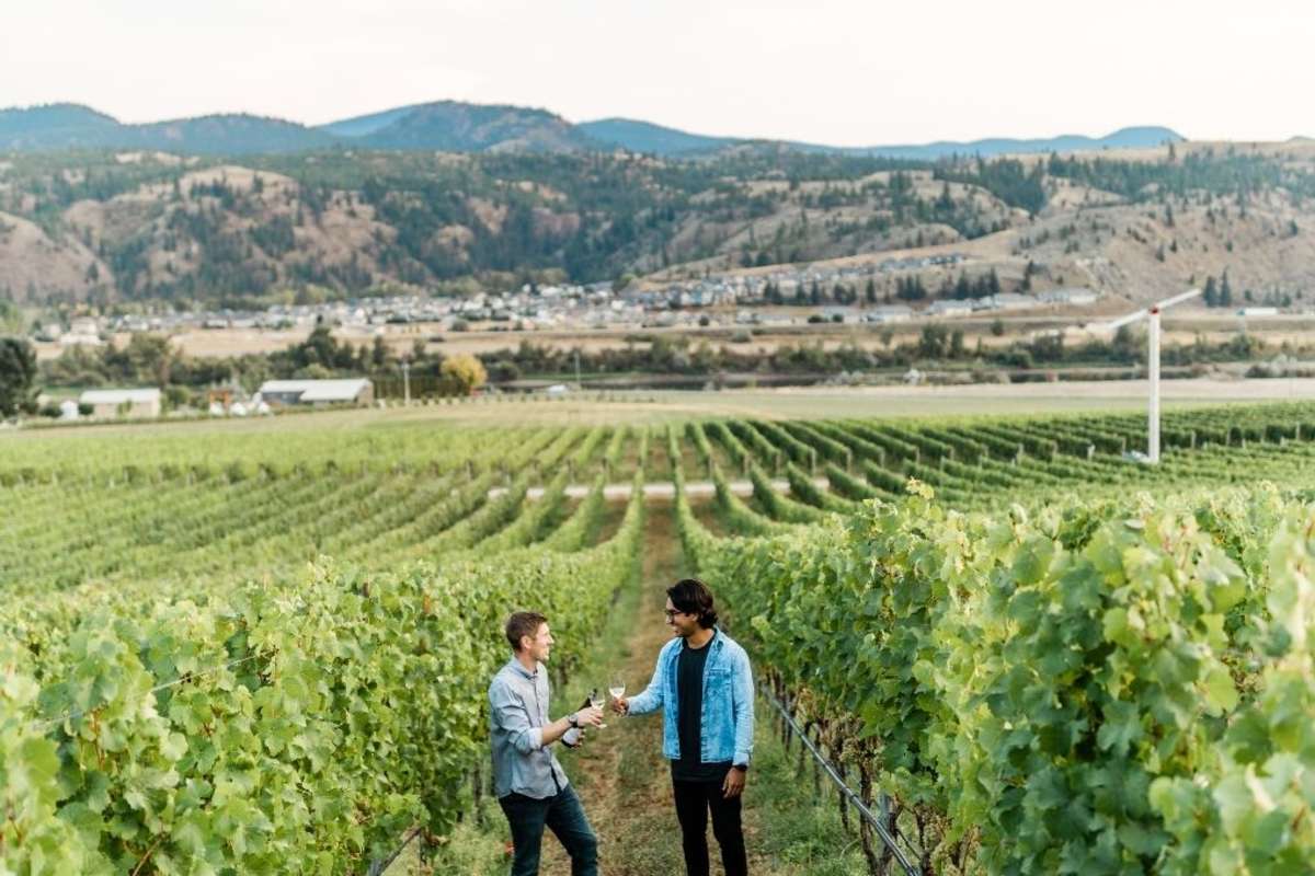 Two individuals walking through the vineyard and cheersing at Harper's Trail Winery