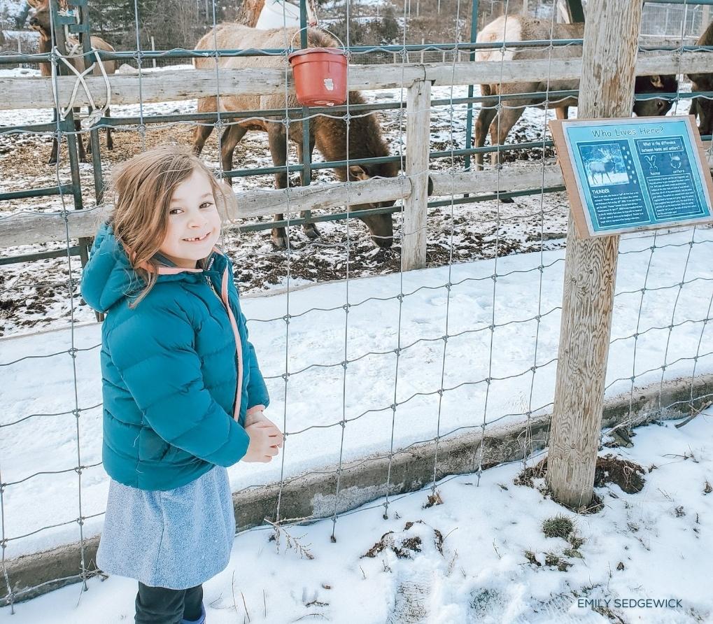 BC Wildlife Park