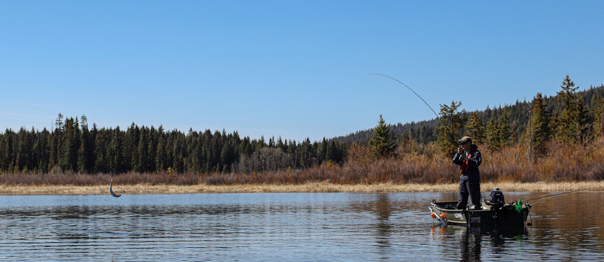 Fisher on a boat with a fish on his line jumping out of the water in Kamloops, BC.