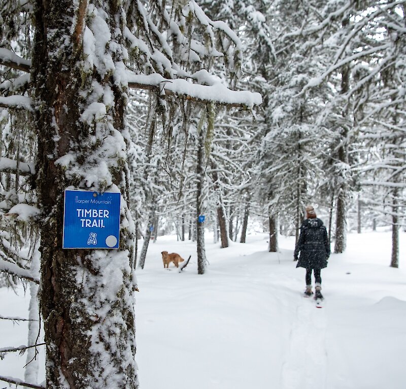 Woman with her dog snowshoeing in the snowy landscape at Harper Mountain near Kamloops, BC.