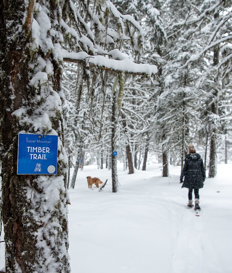 Woman with her dog snowshoeing in the snowy landscape at Harper Mountain near Kamloops, BC.