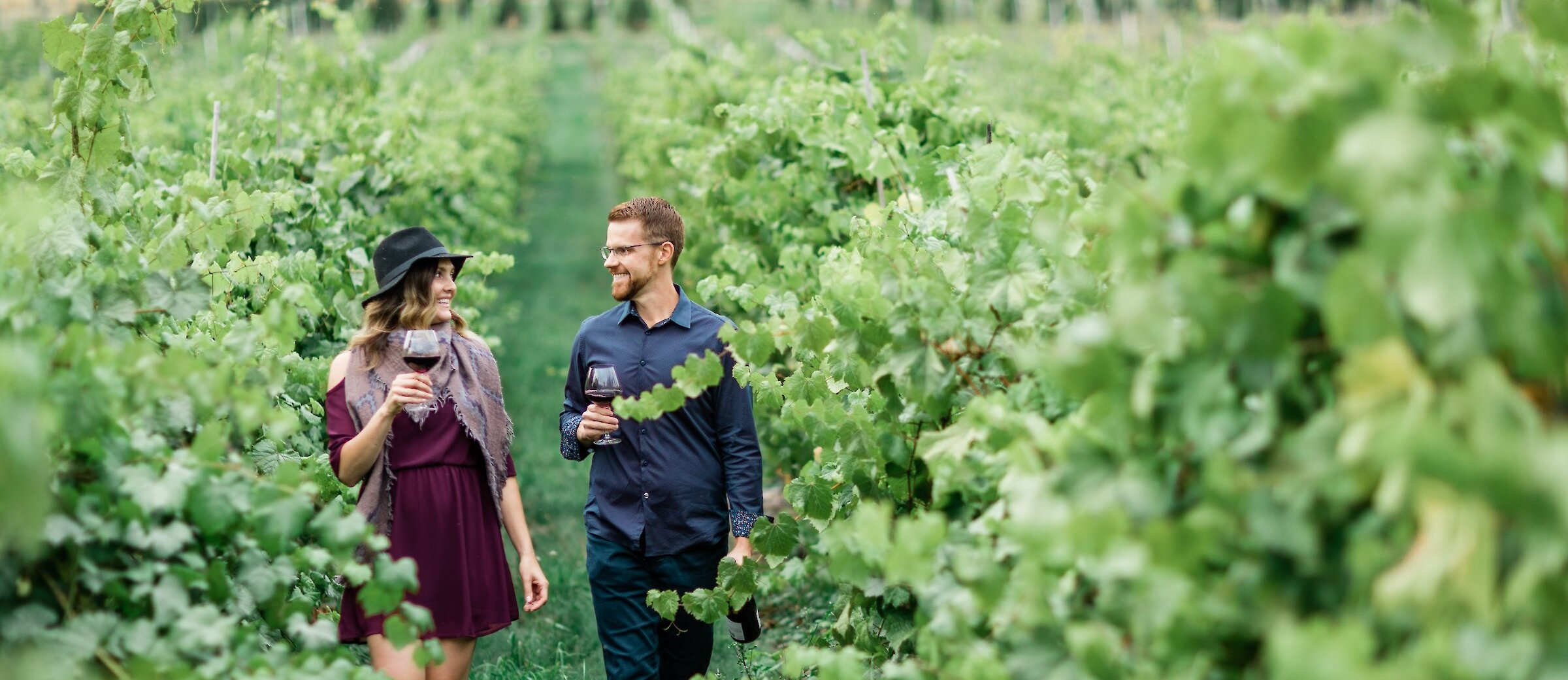 Couple walking through the green vineyard at Privato Vineyard & Winery in Kamloops, BC.