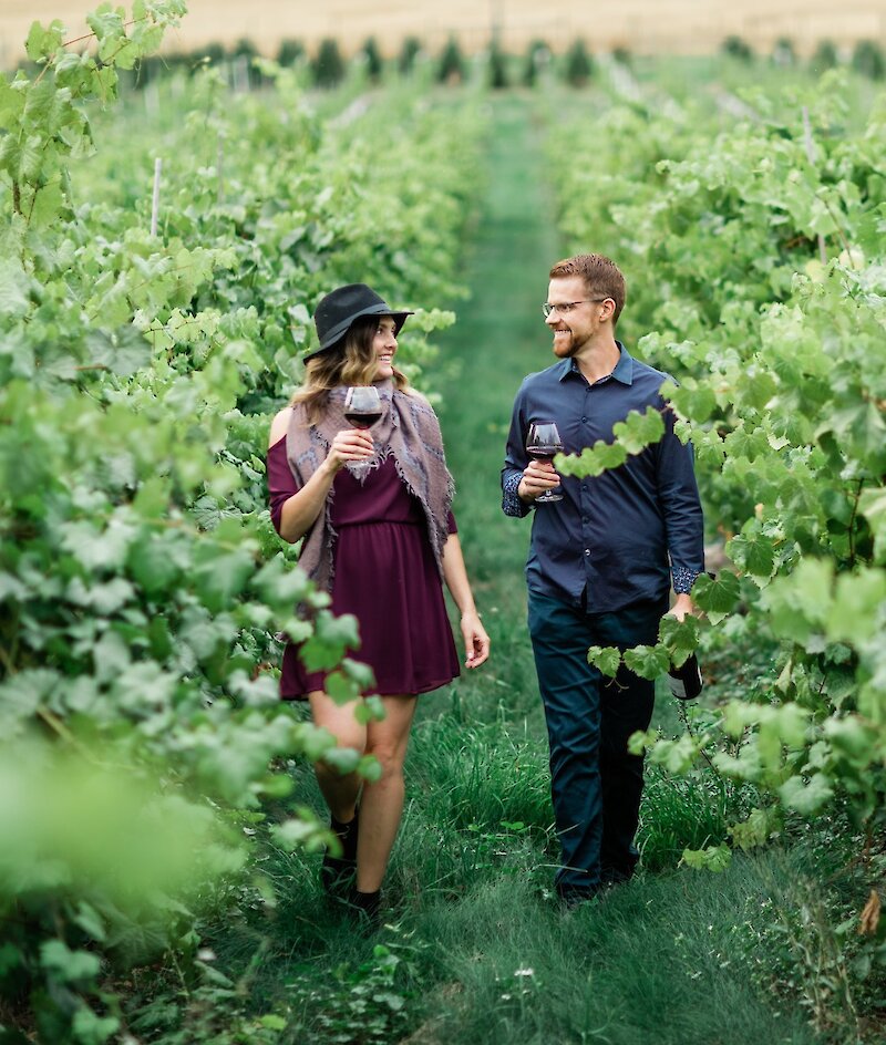 Couple walking through the green vineyard at Privato Vineyard & Winery in Kamloops, BC.