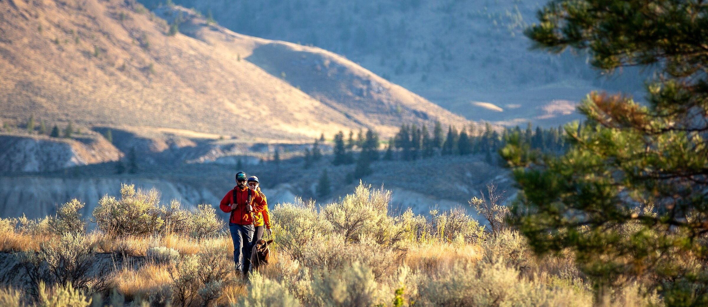 A couple their dog hiking through the grasslands and sagebrush in Kamloops, British Columbia.