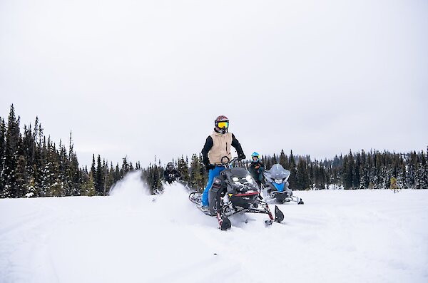 Group of snowmobilers riding through the powder with a snowy forests in the background near Kamloops, BC.