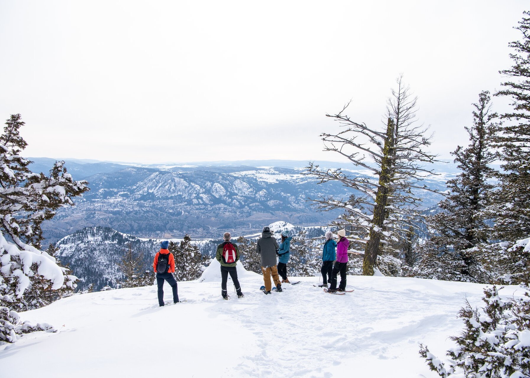 Group of Snowshoers admiring the view from Harper Mountain over the Thompson Valley in Kamloops, BC.