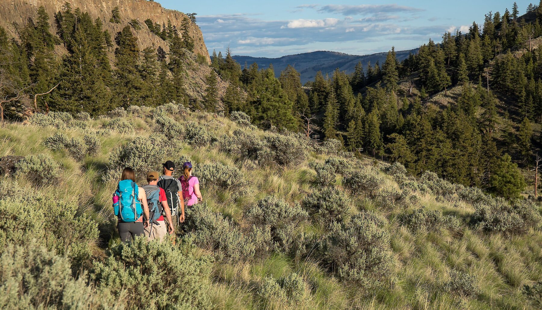 Group of hikers walking through the Sagebrush along Battle Bluff Trail in Kamloops, BC.