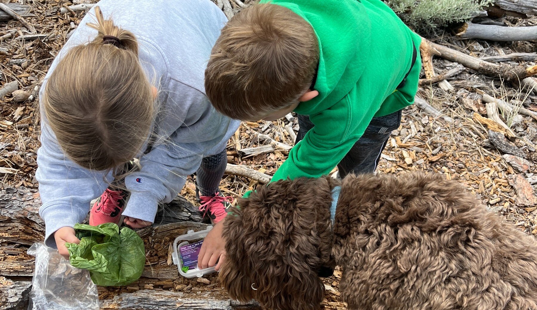 Children finding a Geocache in Kamloops, BC.