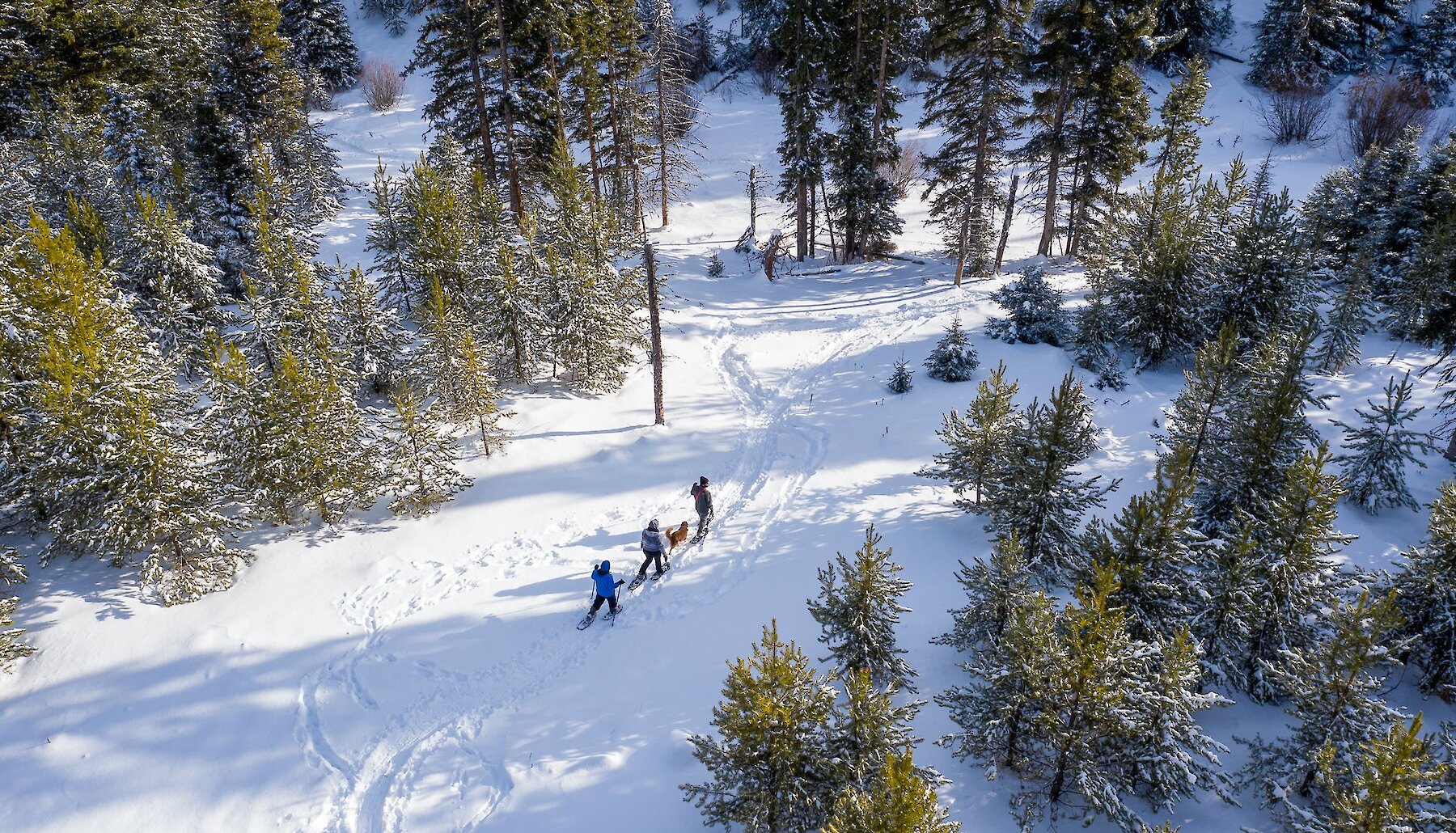 Group snowshoeing with their dog through the snowy landscape at McConnell Lake near Kamloops, BC.