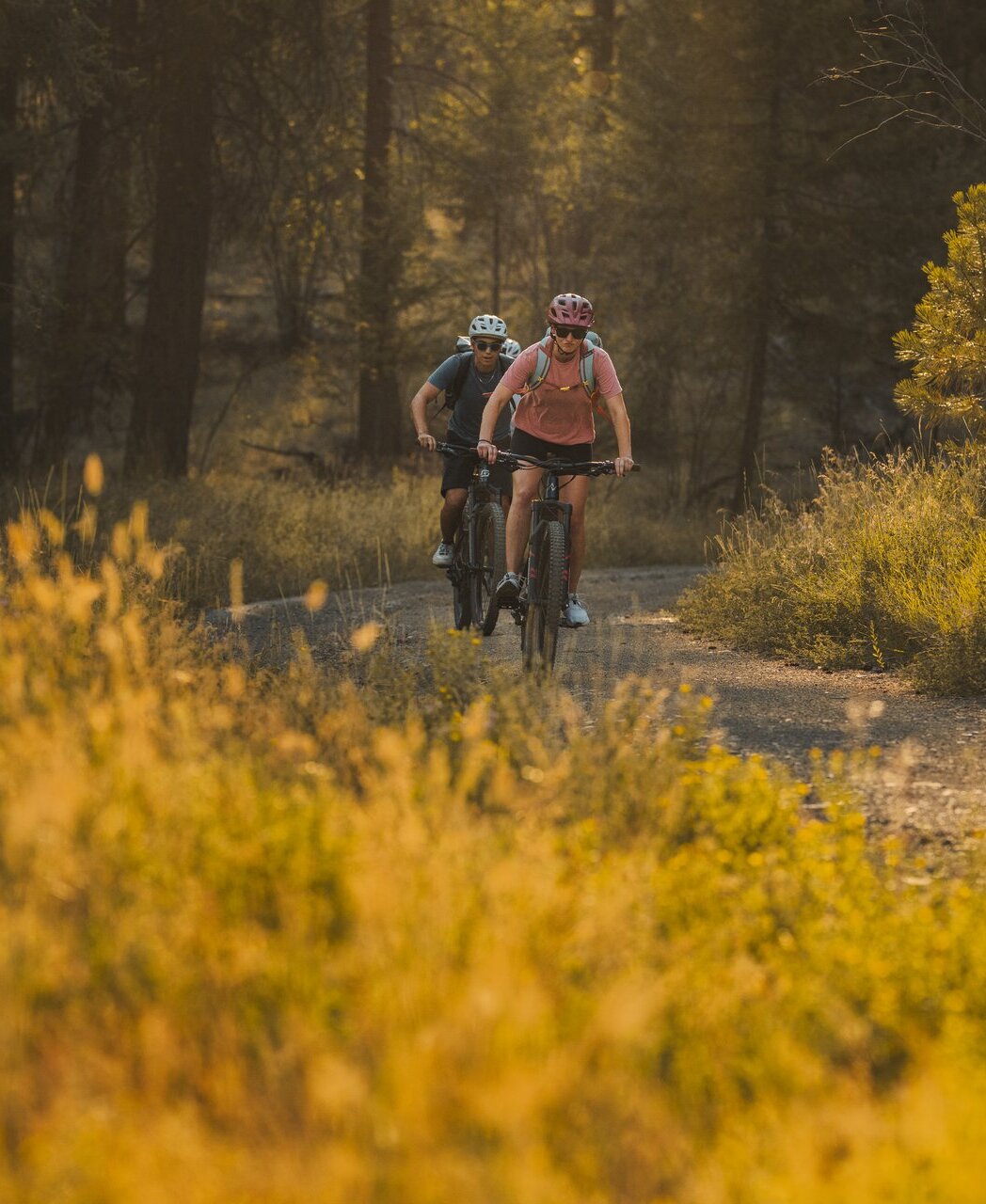 Mountain Biker riding through the scenic trails at Kenna Cartwright park surrounded by autumn colours.