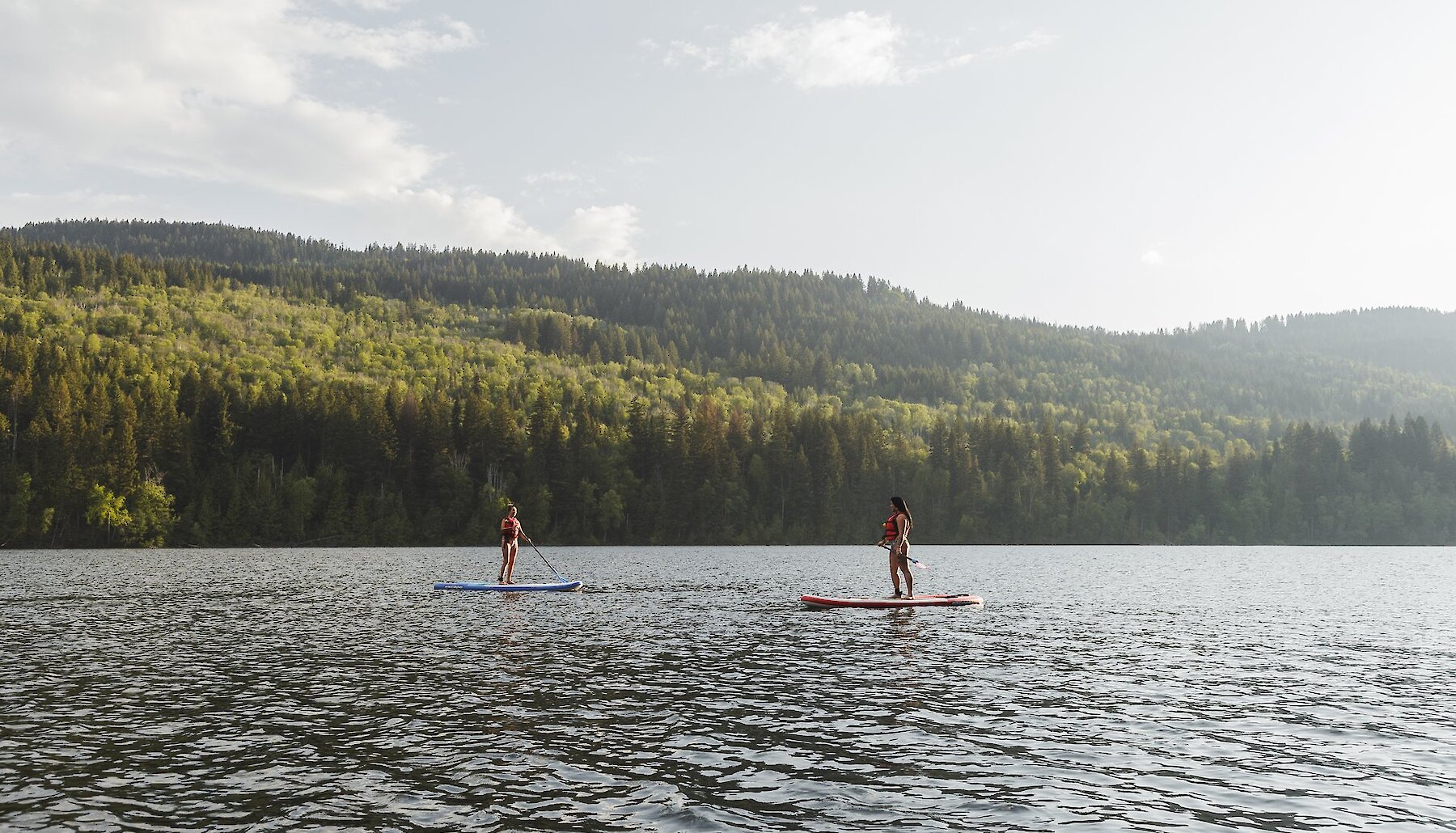 Two paddleboarders on the lake with green forrest along the shore, located near Kamloops, British Columbia.