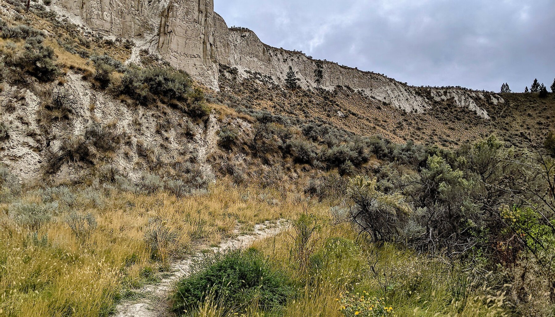 High hoodoos are seen from the bottom on a canyon trail in Kamloops BC.