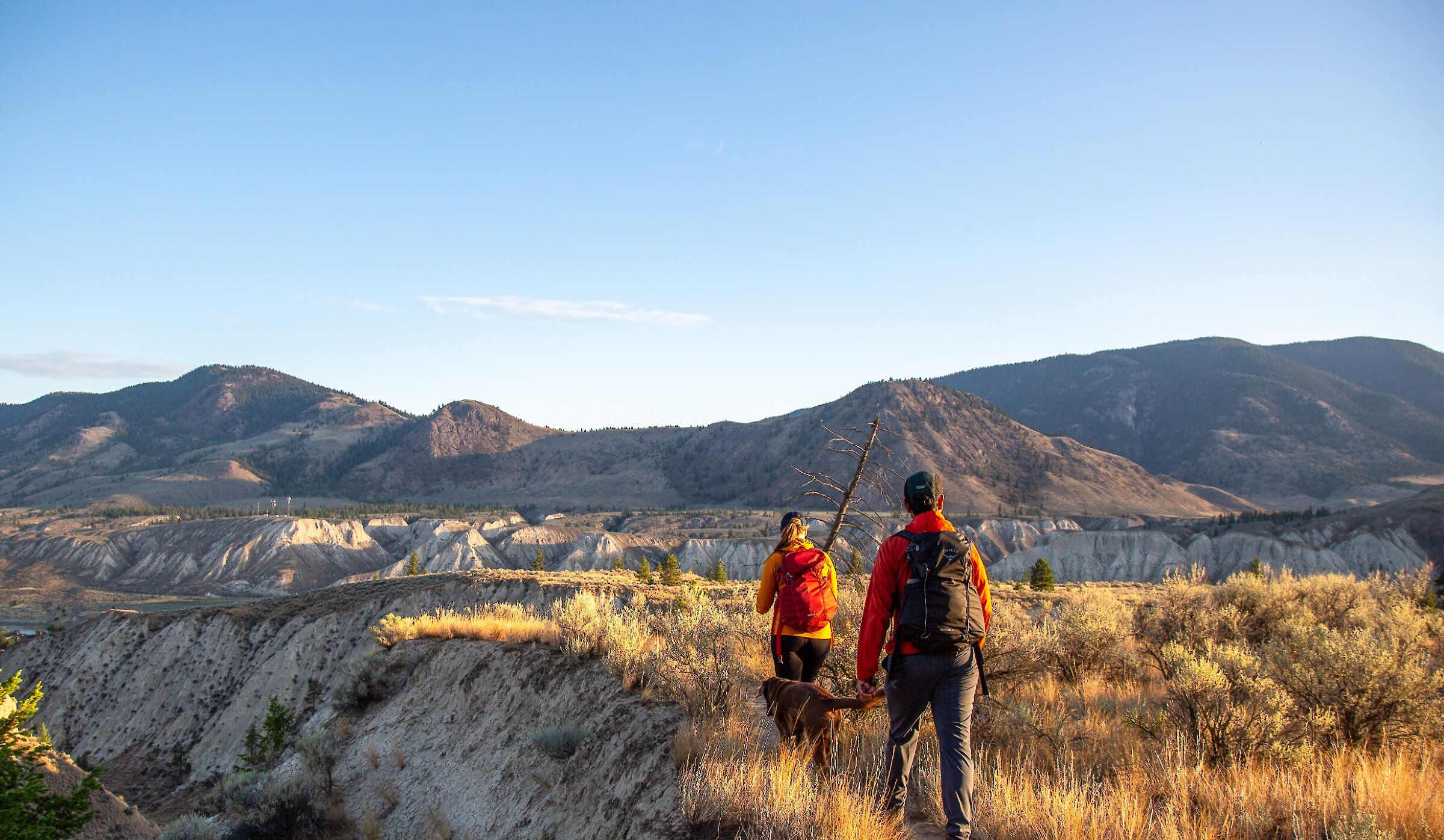 Two hikers with their dog hiking in Dallas-Barnhartvale Nature Park with expansive views and mountains in the background in Kamloops, British Columbia.