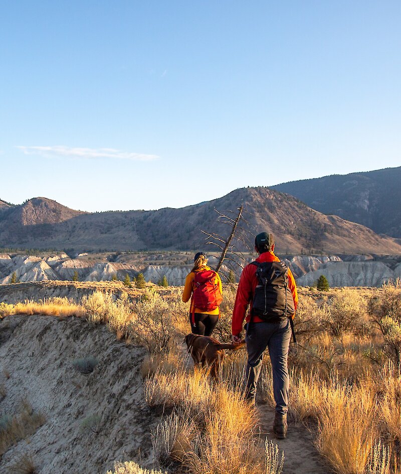 Two hikers with their dog hiking in Dallas-Barnhartvale Nature Park with expansive views and mountains in the background in Kamloops, British Columbia.