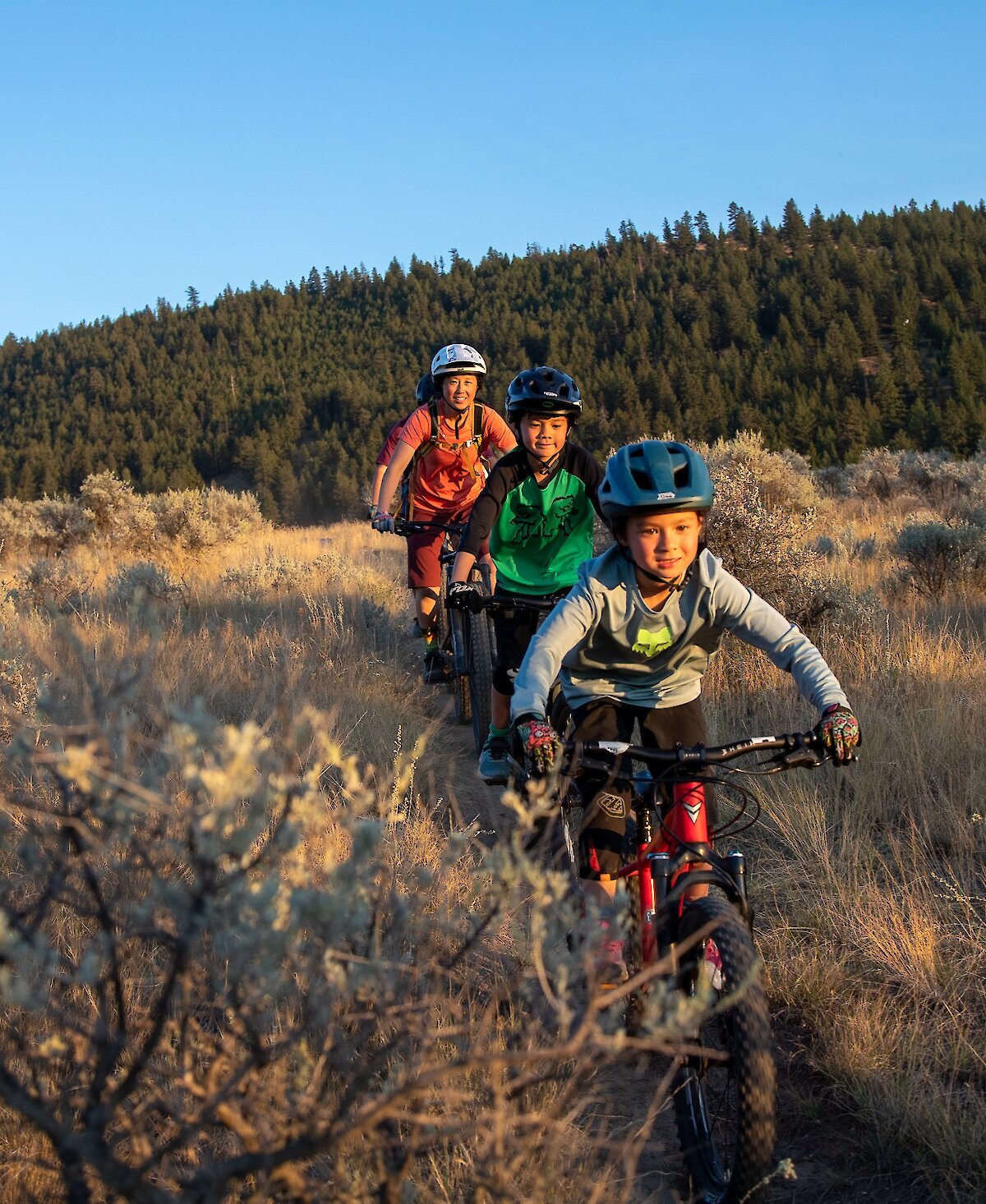 Family of mountain bikers ride a grasslands trail lined with sagebrush in Kamloops with a view of the forrest behind them.