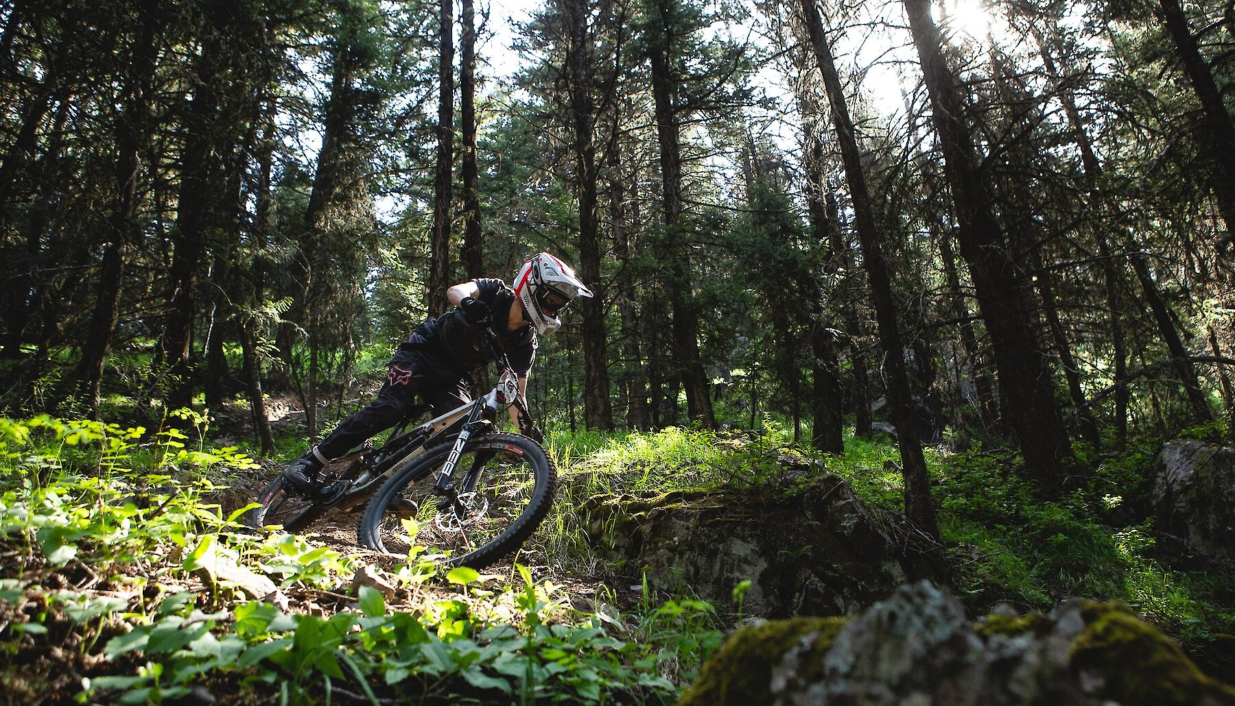 Mountain biker riding down the mountain trail at Harper Mountain in the Thompson Valley, BC.