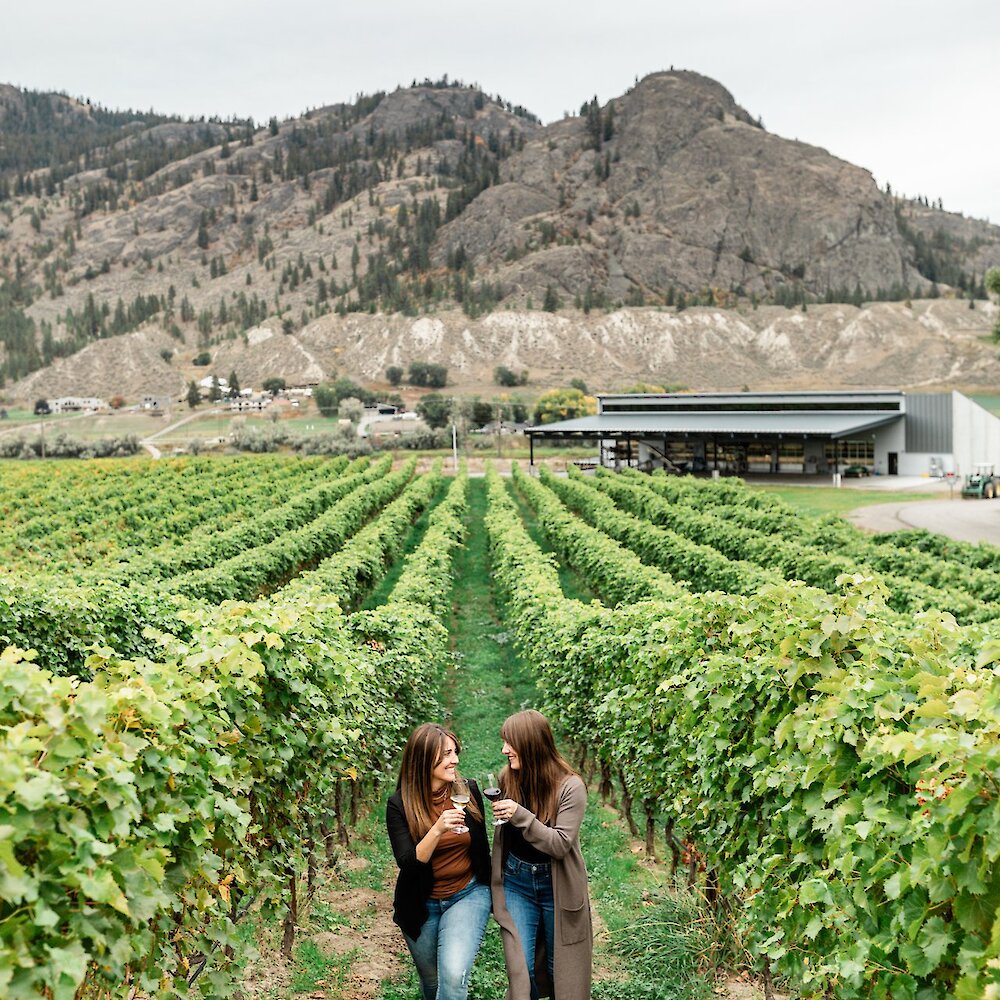 Two women walking through the vineyard with glasses of wine and the Lion's Head mountain in the background at Monte Creek Winery near Kamloops, BC.