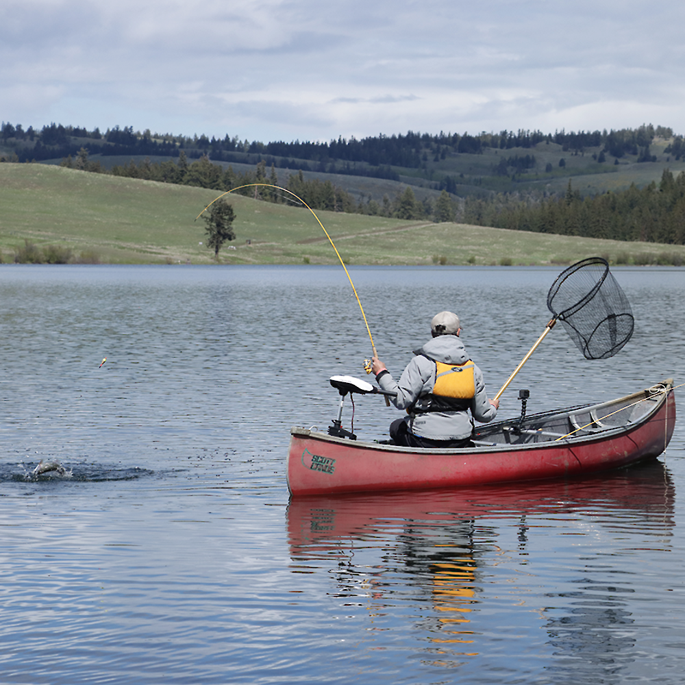 A man trout fishing from a canoe on a lake in Kamloops.