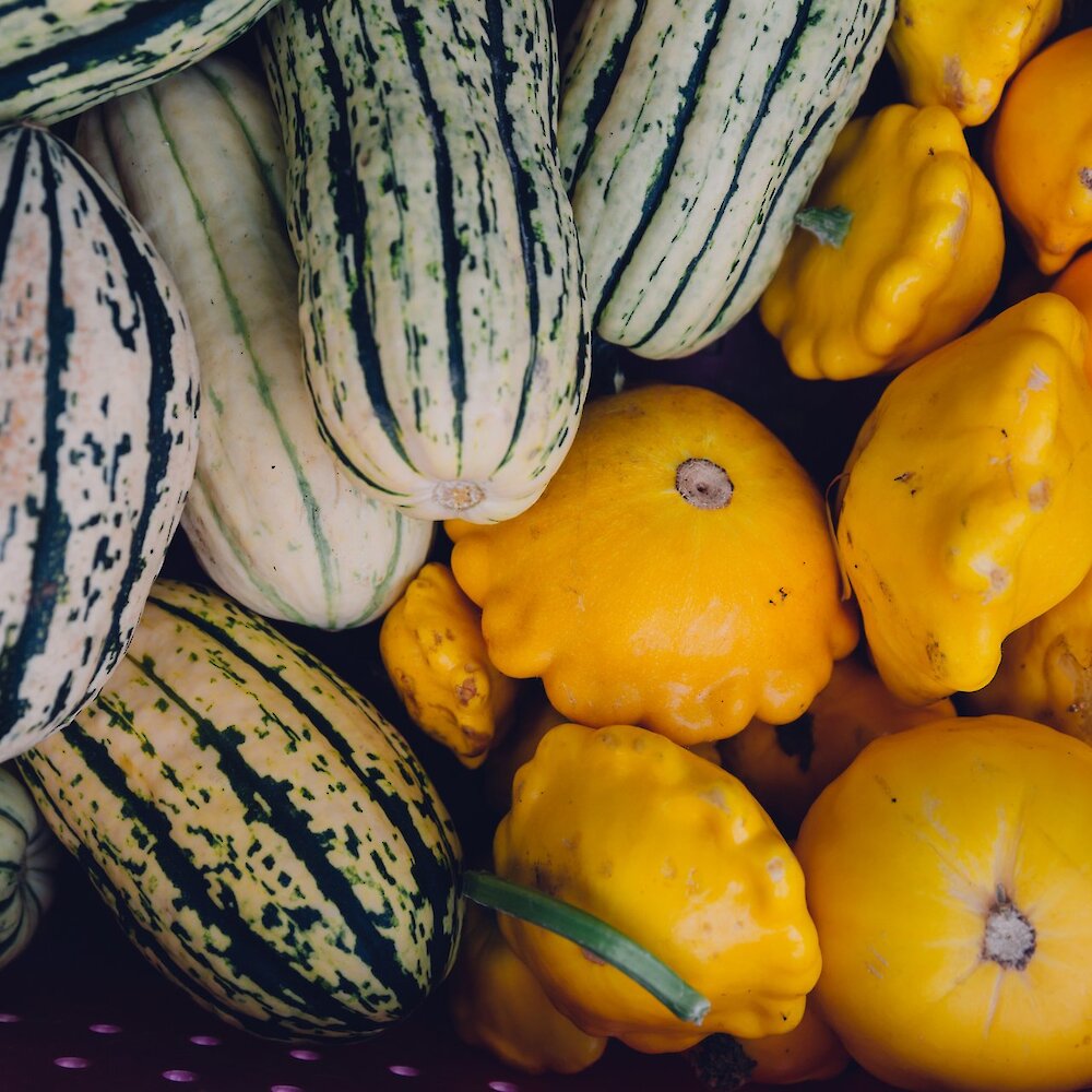 Selection of local squash and produce available for purchase at the Kamloops Farmer's Market.