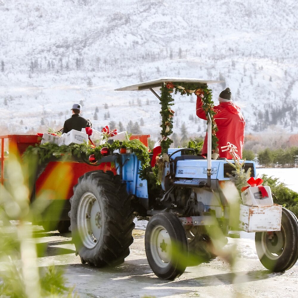 A Christmas decorated tractor driving down a snowy path carrying boxes of Woodward Cider in Kamloops, BC.