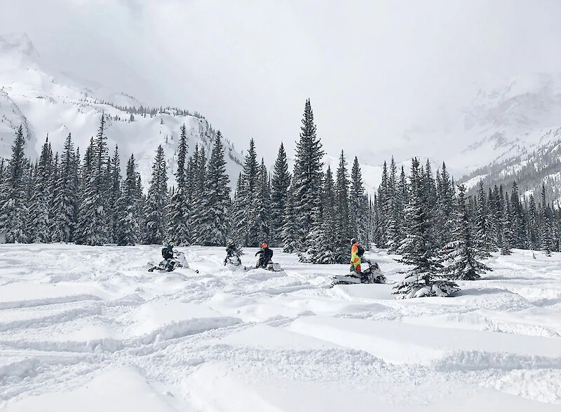 Group of sledders riding in power with the scenic BC mountain in the background.