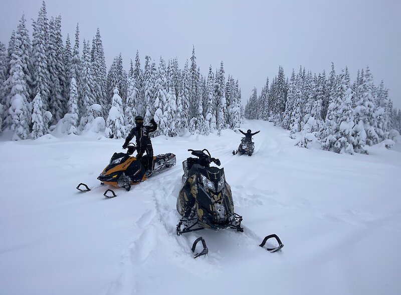 Group of snowmobilers riding through powder on their sleds on their tour with Kamloops Snowmobile Adventures.