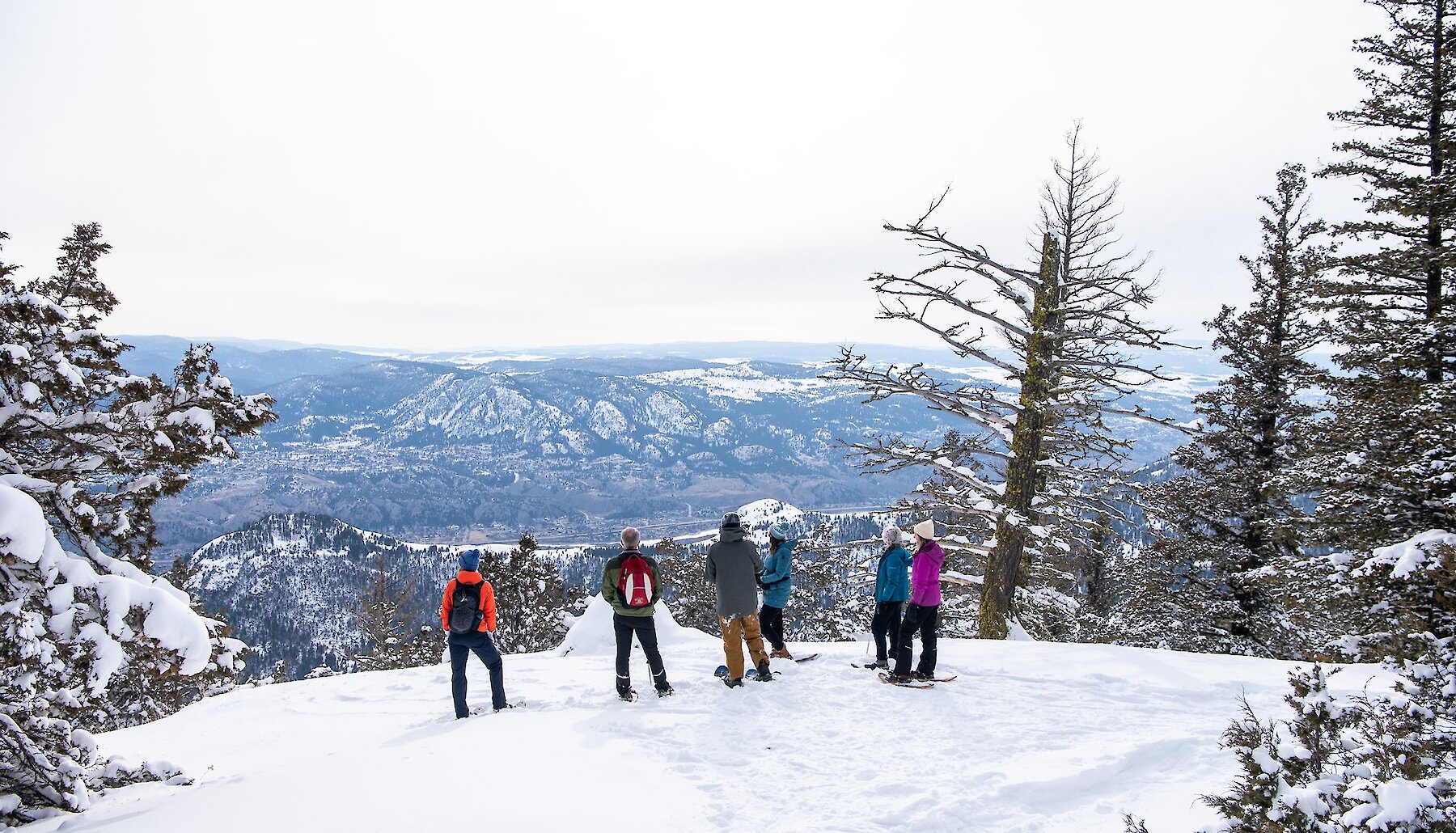 Group of snowshoers admiring the view over the snowy Thompson Valley at Harper Mountain near Kamloops, BC.