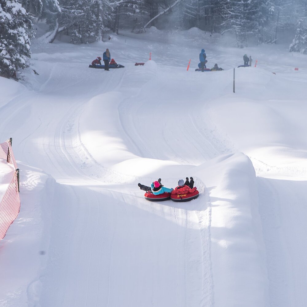 A group of people in tubes race downhill at Harper Mountain near Kamloops BC