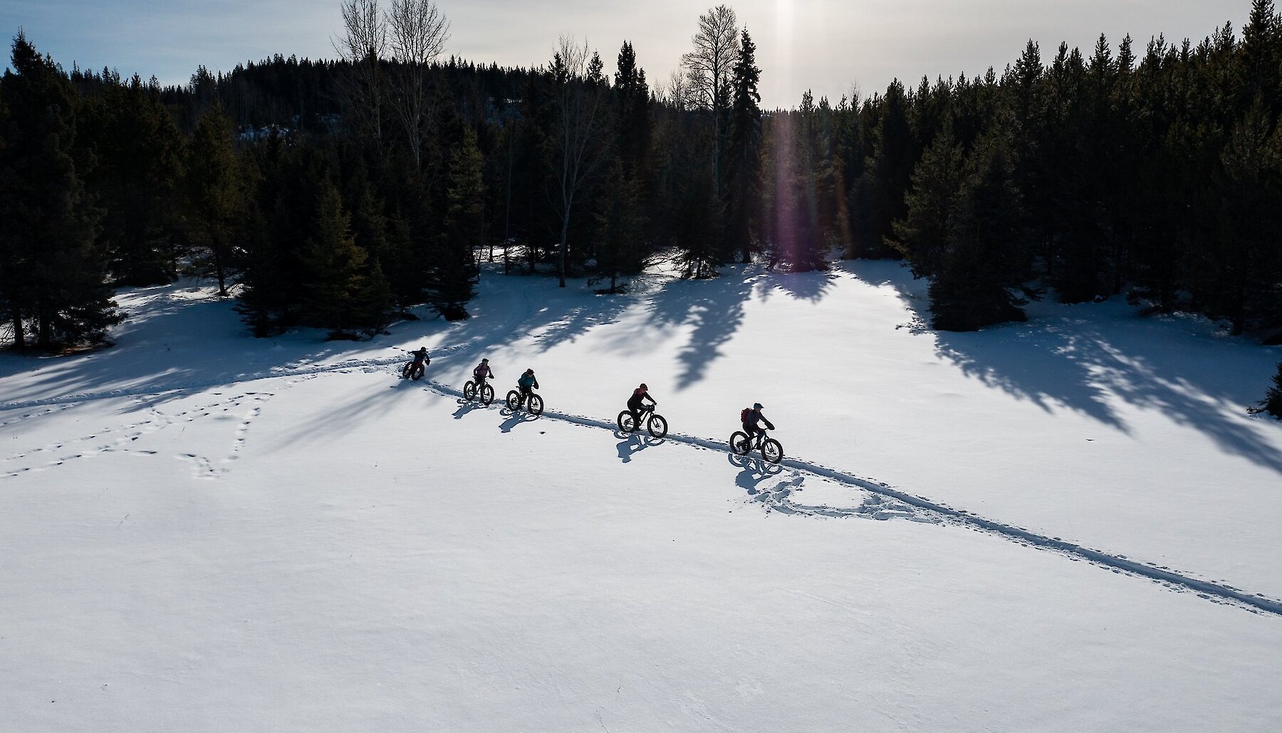 A group of people fat biking through the snow in the hills near Kamloops BC.