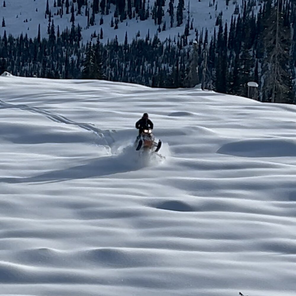 A person on a snowmobile rides through fresh snow in a meadow near Kamloops BC, cresting a small ridge.